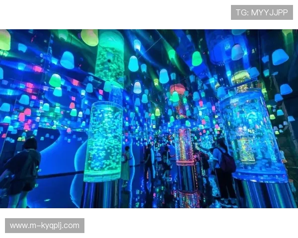 梦幻城娱乐：打造梦幻般的娱乐体验让每一位游客都能留下美好回忆